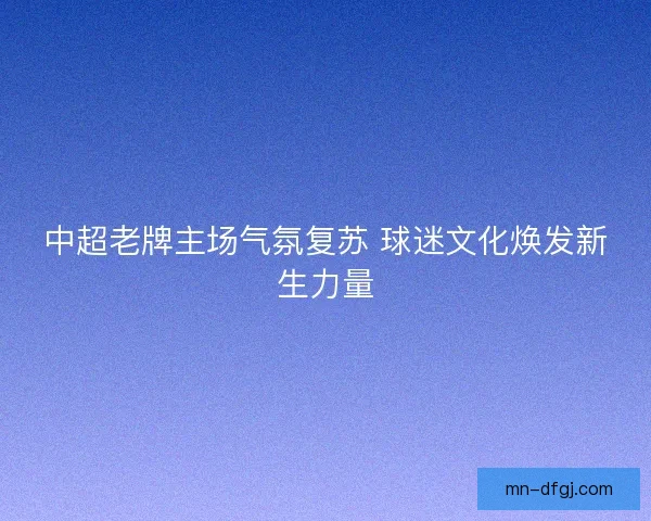 中超老牌主场气氛复苏 球迷文化焕发新生力量